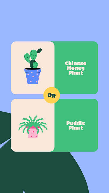 Gartenarbeiten SMM-Paket