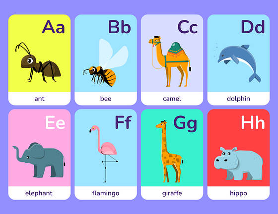 Renkli Bilgi Kartı Şablonları