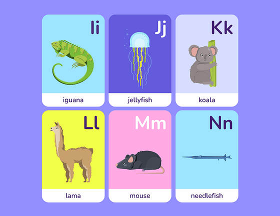 Renkli Bilgi Kartı Şablonları