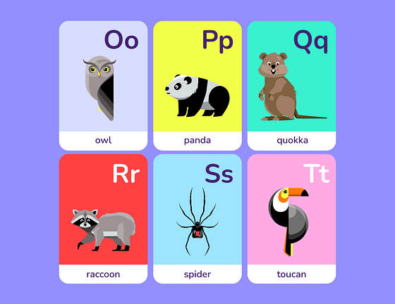 Renkli Bilgi Kartı Şablonları