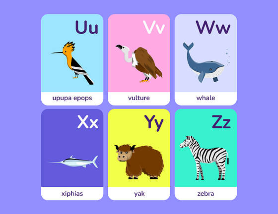 Renkli Bilgi Kartı Şablonları