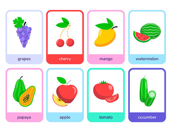 Renkli Bilgi Kartı Şablonları