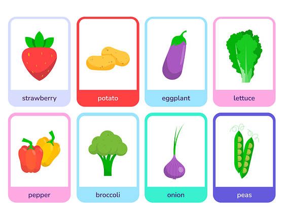 Renkli Bilgi Kartı Şablonları