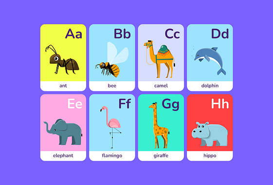 Renkli Bilgi Kartı Şablonları