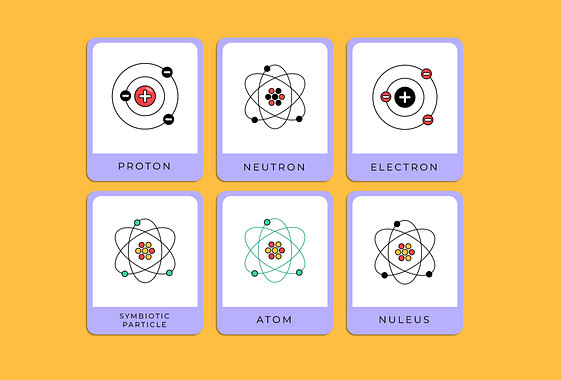 Illustrative Flashcard Templates