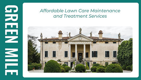 Cartões de Visita de Empresa de Paisagismo