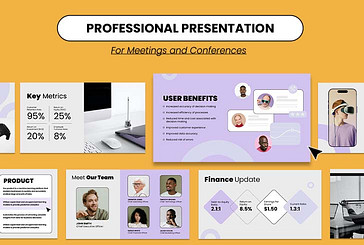 Professional Investor Presentation