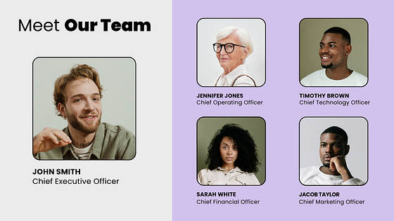 Professional Investor Presentation