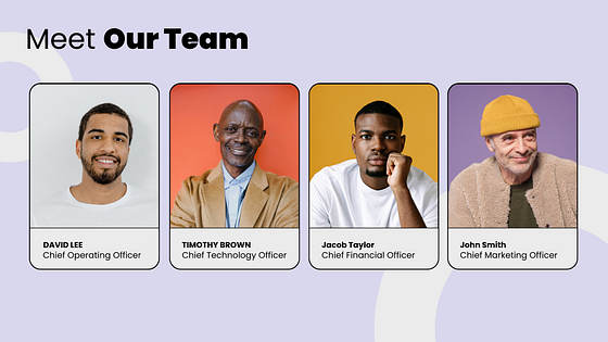 Professional Investor Presentation