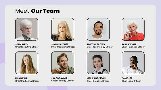 Professional Investor Presentation