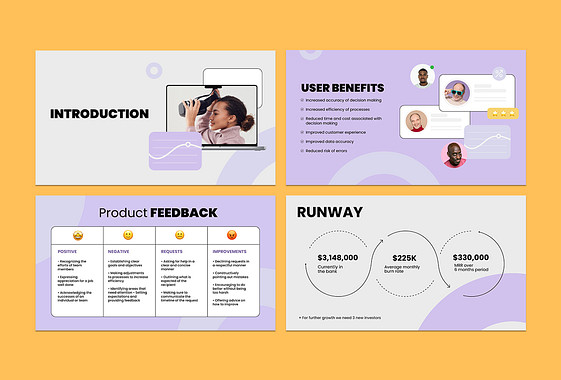 Professional Investor Presentation