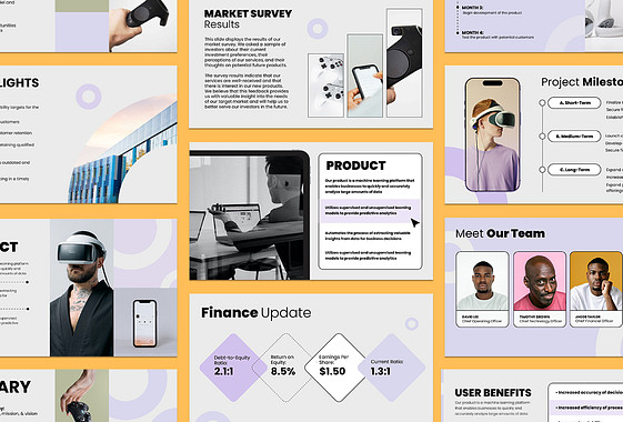 Professional Investor Presentation