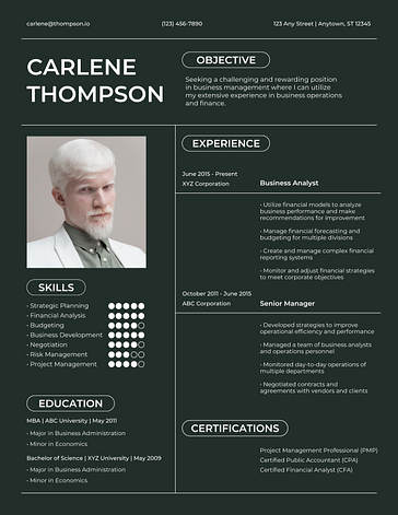 Business Pro Resume Templates