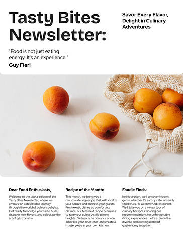 Modèles variés de design de newsletter