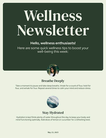 Modèles variés de design de newsletter