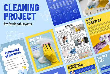 Cleaning Project Proposal Template