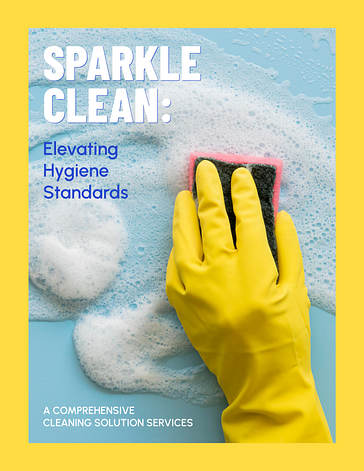 Cleaning Project Proposal Template