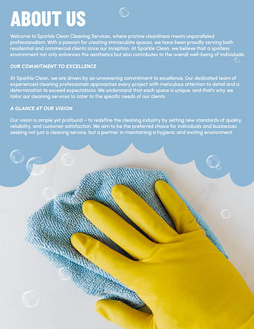 Cleaning Project Proposal Template