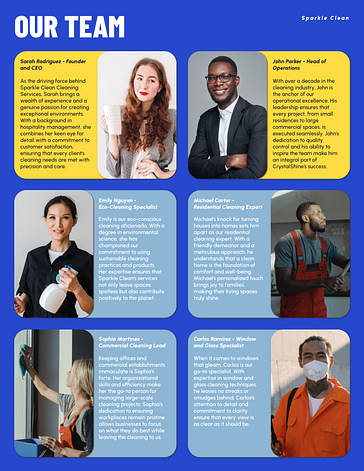 Cleaning Project Proposal Template