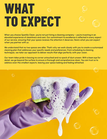 Cleaning Project Proposal Template