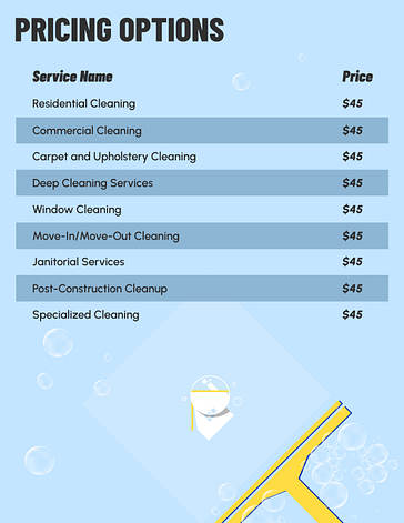 Cleaning Project Proposal Template