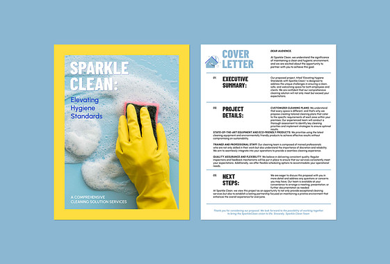 Cleaning Project Proposal Template