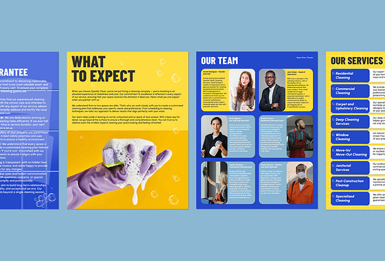 Cleaning Project Proposal Template