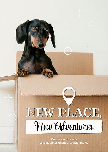 Annonces de mise à jour d‘adresses