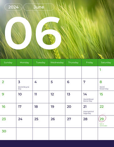 Calendar Lesson Plan Templates