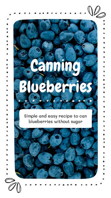 Foodie Blog Design Kit