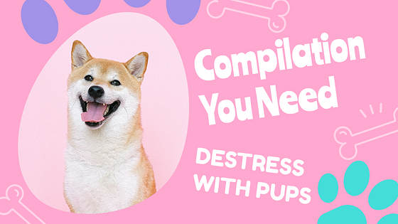 Puppy Vlogs Promo Pack