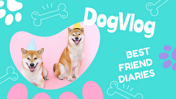 Puppy Vlogs Promo Pack