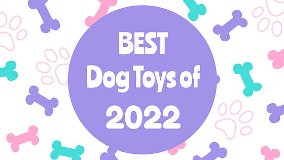 Puppy Vlogs Promo Pack