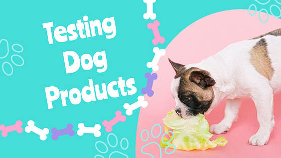 Puppy Vlogs Promo Pack