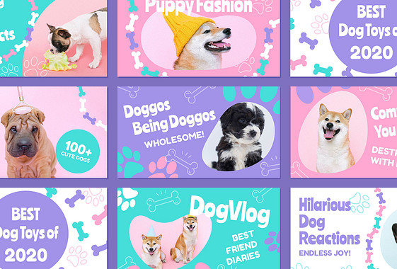 Puppy Vlogs Promo Pack