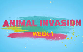 Template Thumb Image