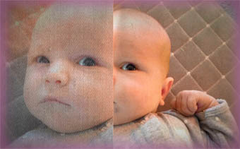 Template Thumb Image