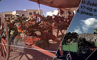 Template Thumb Image