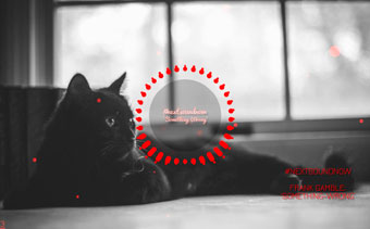 Template Thumb Image