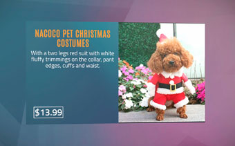 Template Thumb Image