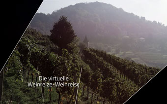 Template Thumb Image