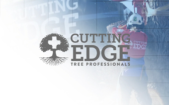 Template Thumb Image