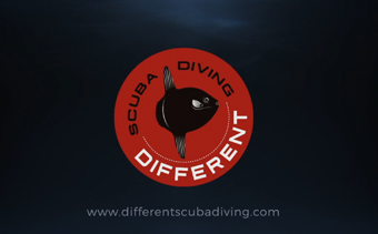 Template Thumb Image