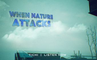 Template Thumb Image