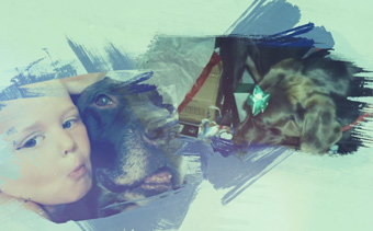 Template Thumb Image