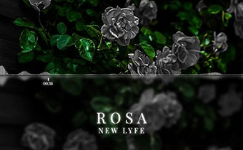 Template Thumb Image