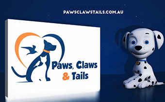 Template Thumb Image