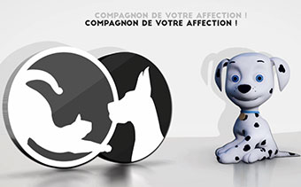 Template Thumb Image