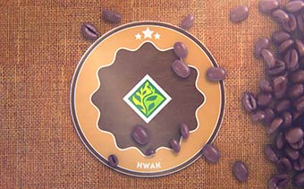 Template Thumb Image