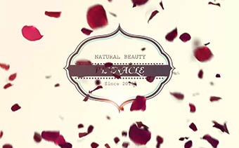 Template Thumb Image